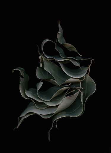 Original Minimalism Botanic Digital by Simone Lutz