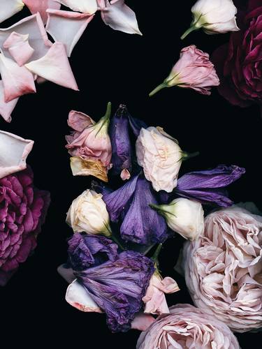 Original Minimalism Botanic Photography by Simone Lutz