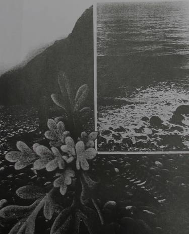 Original Abstract Beach Collage by Alex Ballenger