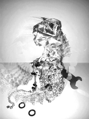 Print of Minimalism Cats Photography by Behzad Mosavat