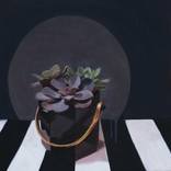 Suculent et Lune by Olivia Hart-Hughes