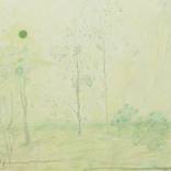 Make language transparent and observe at the phenomenon. by Soyeun Park