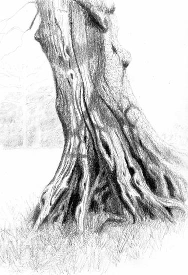 Oak Tree Detail thumb