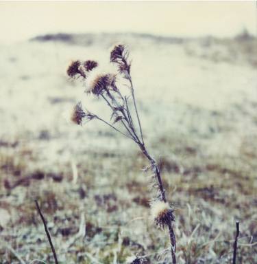 Print of Minimalism Nature Photography by pierre debroux