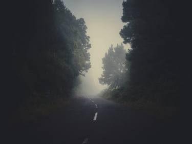 landscape madere - foggy road 02 - Limited Edition of 3 thumb