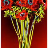 RED SOL II - Limited Edition of 25 by Albert Delamour
