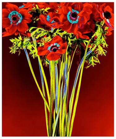 Original Fine Art Floral Photography by Albert Delamour