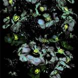 ENVOLEE IN BLACK - Limited Edition of 25 by Albert Delamour