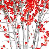 RED DOT - Limited Edition of 25 by Albert Delamour