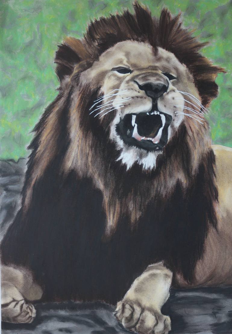 male lions roaring drawing