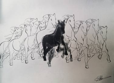 Original Fine Art Animal Drawings by Naveen C B