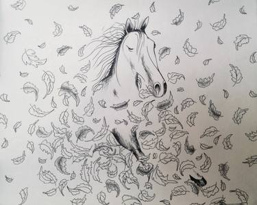 Original Fine Art Horse Drawings by Naveen C B