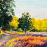 Birch and Heather Pathway by Hannah Bruce