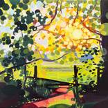 Sunburst Meadow Pathway by Hannah Bruce