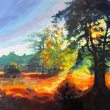 Surrey Heathland Sunflare by Hannah Bruce