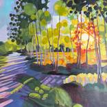 Sun Burst through Birch Trees by Hannah Bruce