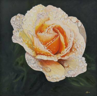 Original Fine Art Botanic Paintings by Hannah Bruce