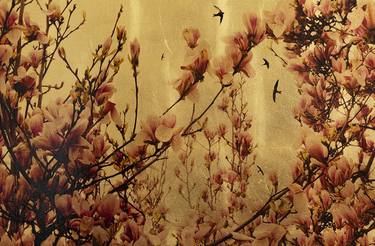 Original Fine Art Botanic Mixed Media by Robert Pereira Hind