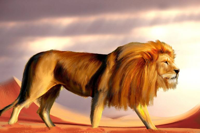 african lion - Print