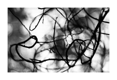 Original Abstract Expressionism Abstract Photography by Csilla Szabo