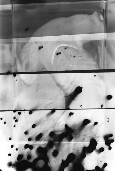 Original Abstract Expressionism Fish Photography by Csilla Szabo