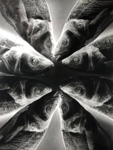 Saatchi Art Artist Csilla Szabo; Photography, “Fish 10 - Limited Edition of 7” #art