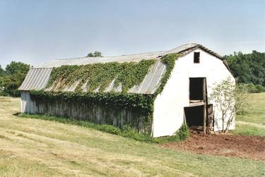 Print of Photorealism Rural life Photography by William Carlyle