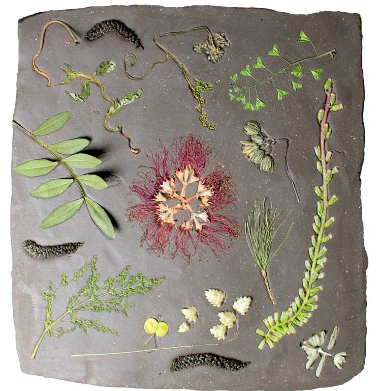 Fossilized Plants - Print