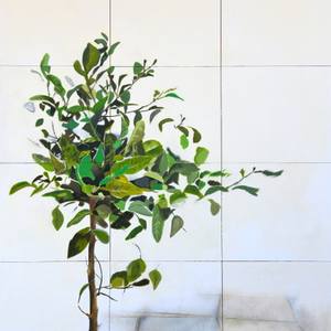 Collection Artists of the Week 10-15-2018