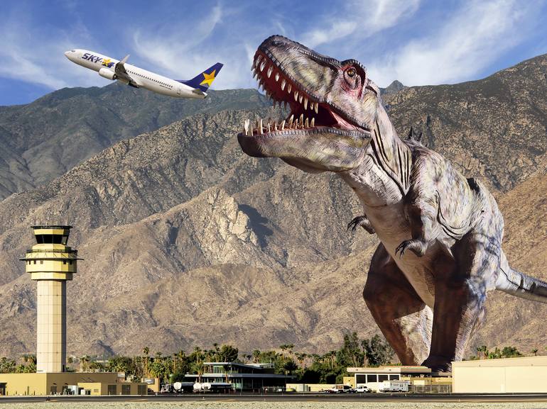 AIRPORT SNACK BAR Plane Food - Limited Edition 1 of 58 Photography by ...