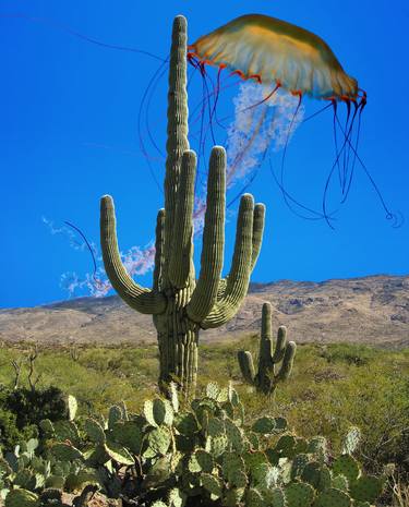 JELLYFISH RISING Palm Springs CA - Limited Edition 2 of 21 thumb