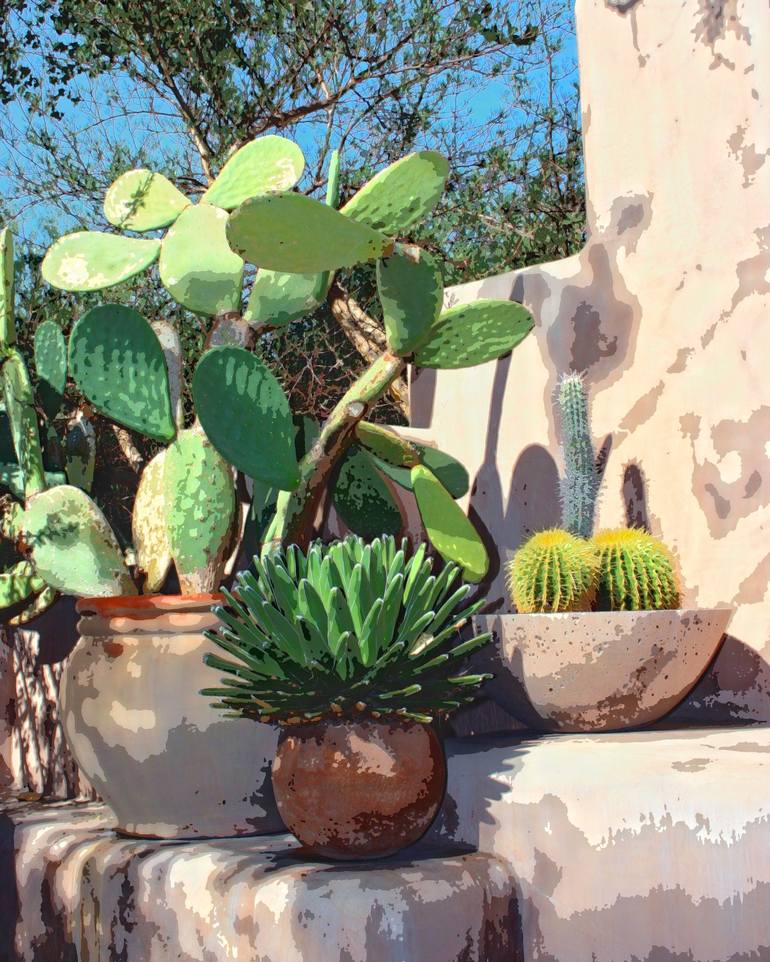 The Secrets of The Cacti