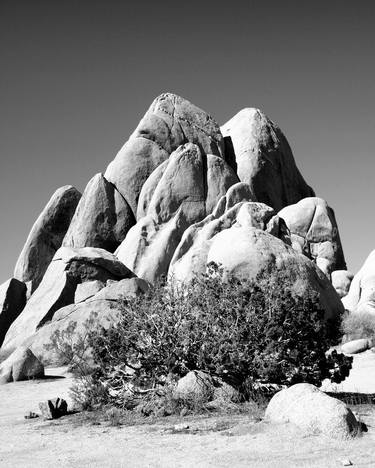 ROCK LEGEND Joshua Tree National Park - Limited Edition of 21 thumb