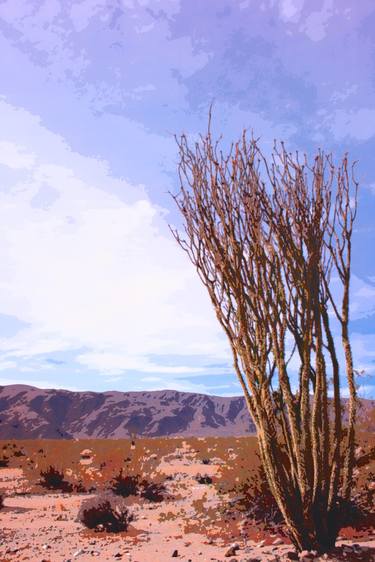PARCHED DREAMS Joshua Tree National Park CA - Limited Edition of 21 thumb