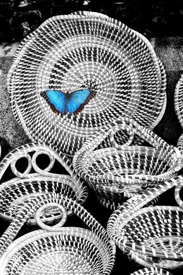 BLUE BUTTERFLY EFFECT Charleston SC - Limited Edition of 21 thumb