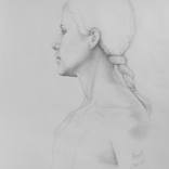 Collection Drawings from life