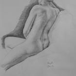 Collection Drawings from life
