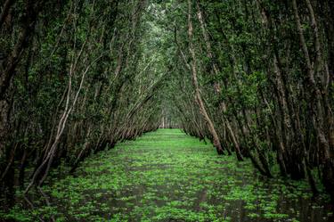 Print of Nature Photography by Can Tolga Yılmaz