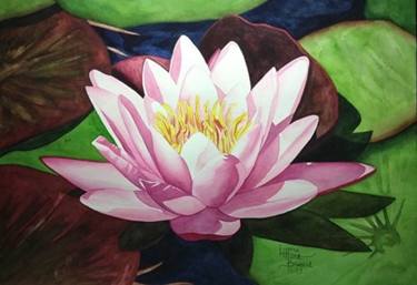 Original Floral Paintings by Lynne Bryant