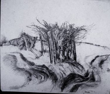 Print of Expressionism Landscape Drawings by linda crane