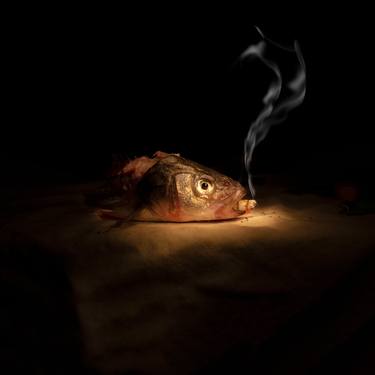 Print of Fish Photography by Hélène Vallas Vincent