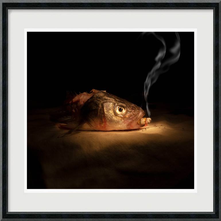 Original Art Deco Fish Photography by Hélène Vallas Vincent