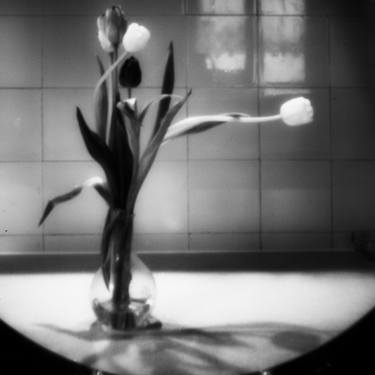 Original Black & White Floral Photography by Hélène Vallas Vincent