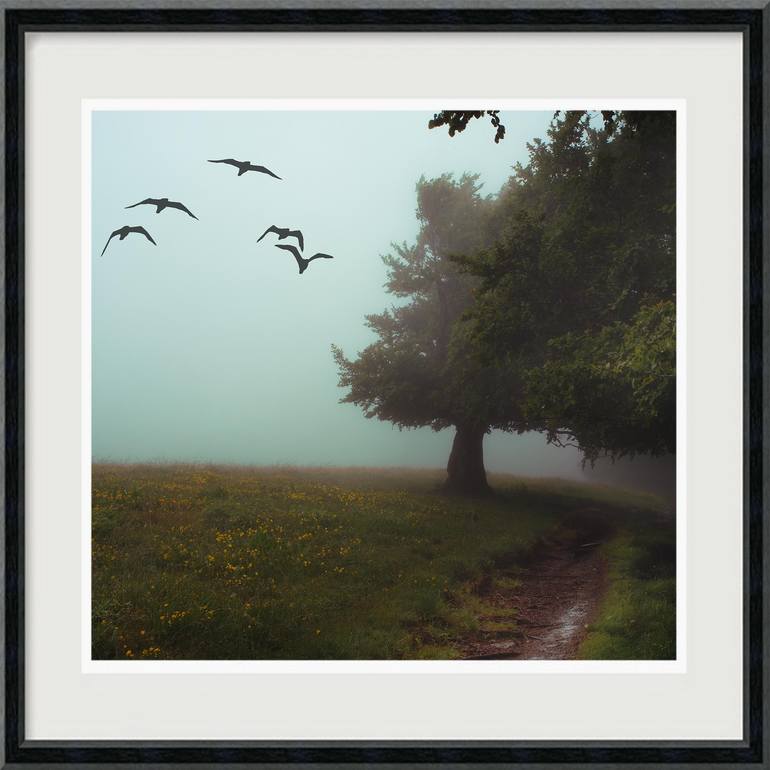 Original Digital Art Landscape Photography by Hélène Vallas Vincent