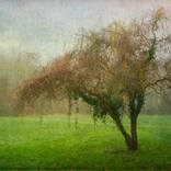 Some Where by Hélène Vallas Vincent