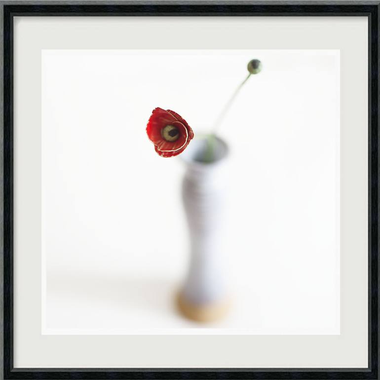 Original Fine Art Floral Photography by Hélène Vallas Vincent