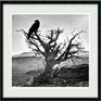 Photography black and white ,Silver film
Papier Hanemhule Fine Art 325gr
Signé 2/ 20
Art studio print 

white border

work in Piezographie 

The Piezography process results in a much greater dynamic than that of the conventional film process. Digital cameras or film scanners produce digital files that, when printed in Piezography, produce images that exceed the limitations of the silver process.

A wonderful memory of my trip to the USA