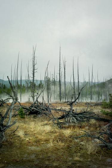 Print of Surrealism Landscape Photography by Hélène Vallas Vincent