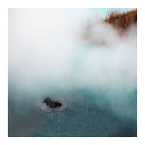 Collection Inspired by Yellowstone