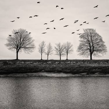 Print of Expressionism Landscape Photography by Hélène Vallas Vincent